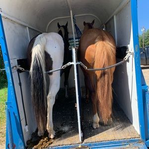 Meet your Posher, Andraya